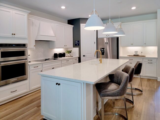 Pest Control In Kitchen Remodeling